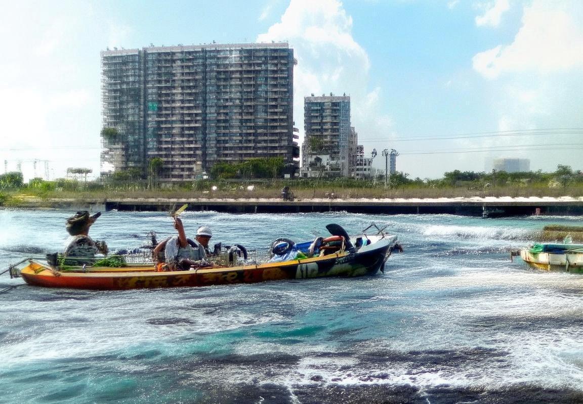 多特蒙德球迷暴力事件：欧冠禁赛风波对足球界的启示与反思